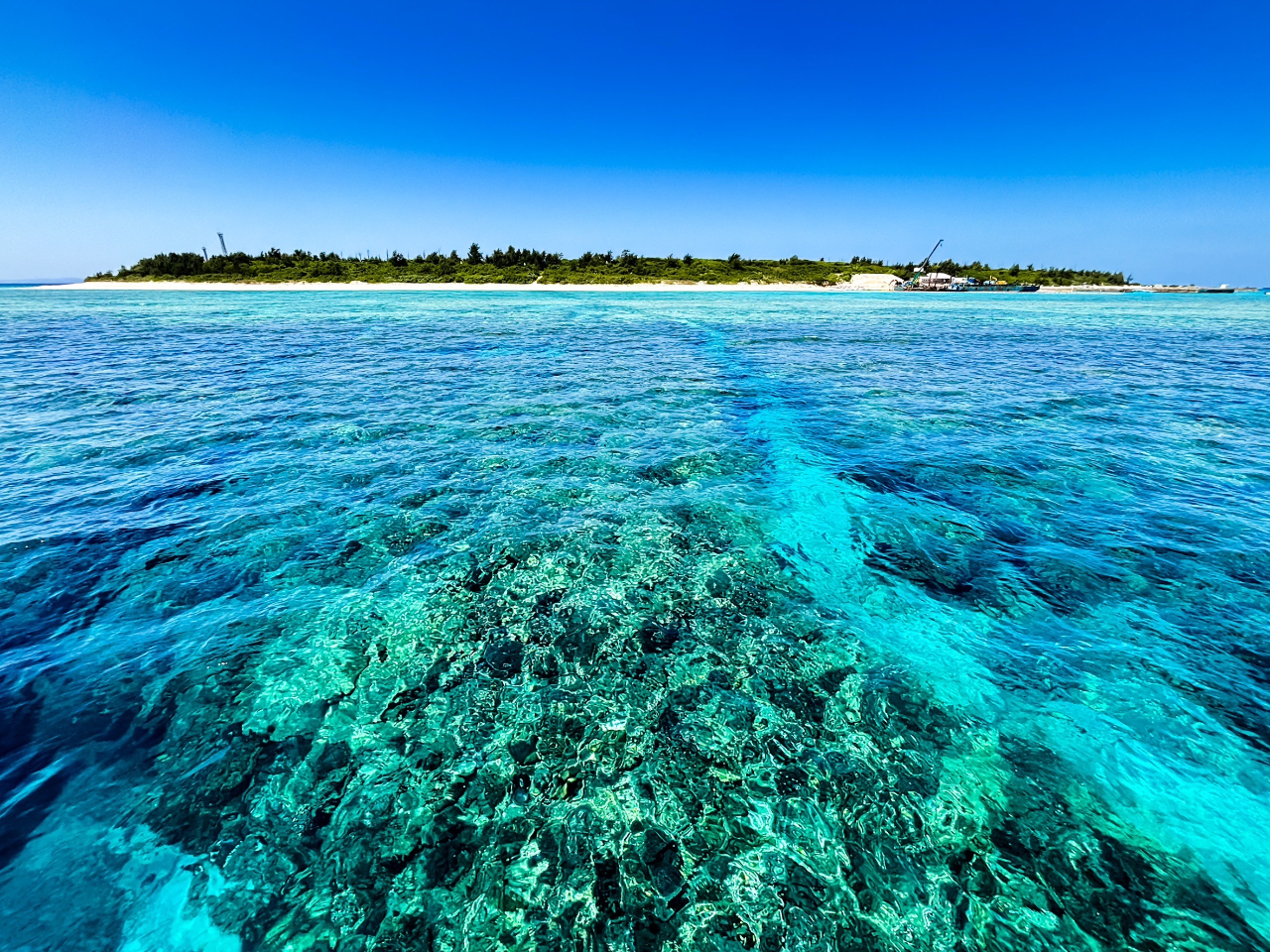 美しいサンゴ礁の海を間近で体験
