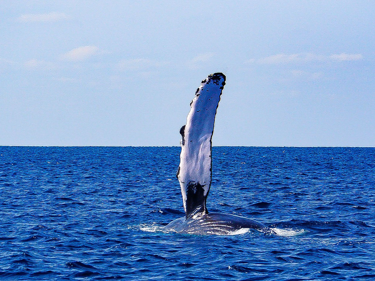 X^btBeNWEHb`Oi̎ʐ^f[^v[gI