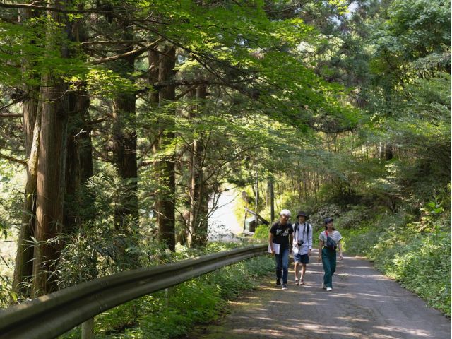 木漏れ日の中を散策します