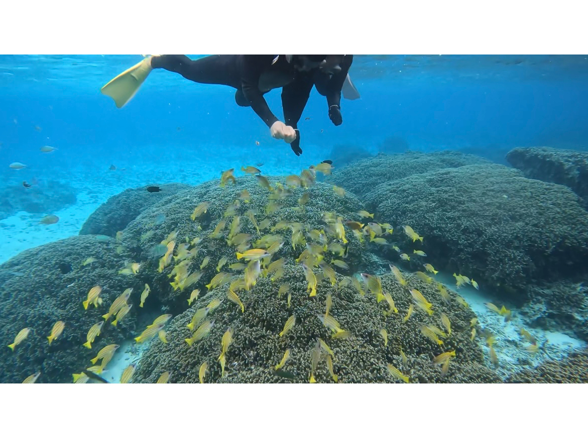 ���B���肩��a��H�ׂĂ���܂��B