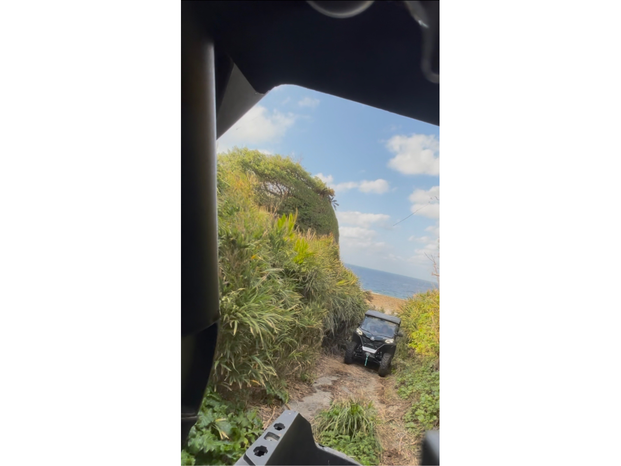 �v�ē�������A�Y��ȊC�ƎR���y���߂܂���