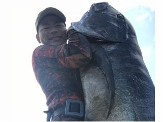 現役漁師の職人技が見れる!