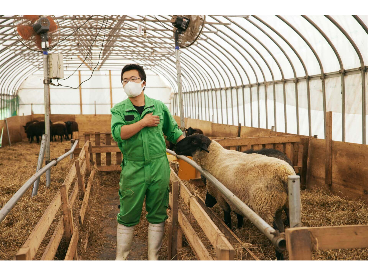 ���i�͈�ʌ��J���Ă��܂��񂪁A���̃c�A�[����œ��ʂɌ��w���ł��܂��B