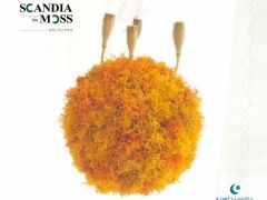 モスはふわふわ柔らかいです。(イメージ)