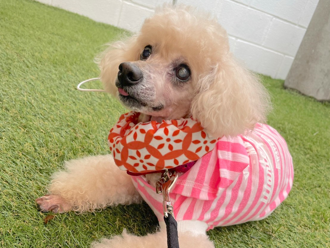 �����ƈꏏ�Ɋy���߂܂���