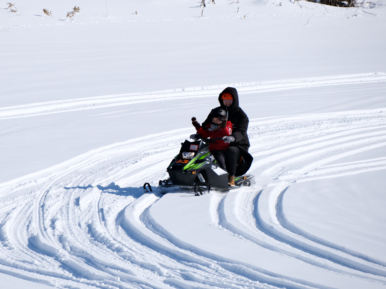 12Έȉ̂qĺAی҂Ɠo܂I