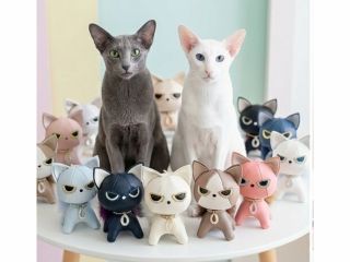 現在存在しないカラーも含まれていますので、カラーはお問い合わせください。