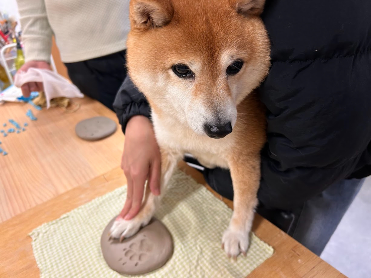 わんこ陶芸 福岡初!わんこの足跡、ずっと一緒に。愛犬とつくる特別な陶芸体験