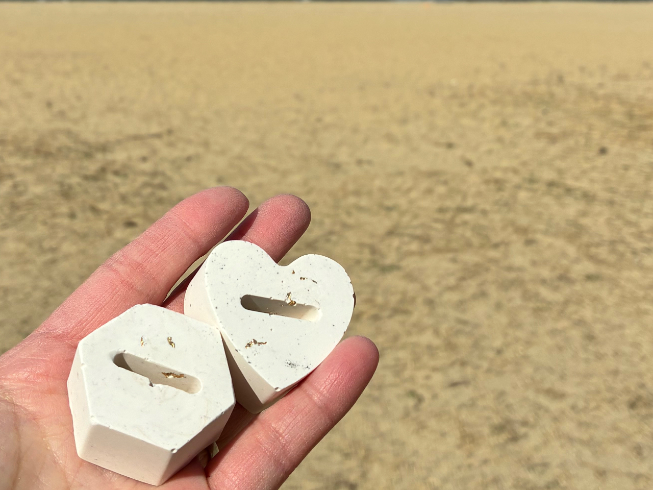 �����O�z���_�[