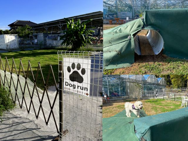 BBQハウス内はペットも同伴OKです!また敷地内にはドッグラン完備!