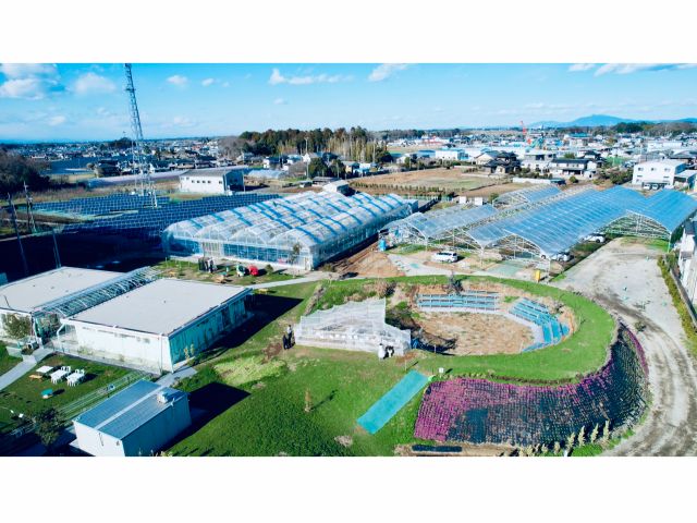 季節ごとに旬のフルーツ狩りや野菜収穫が楽しめます!