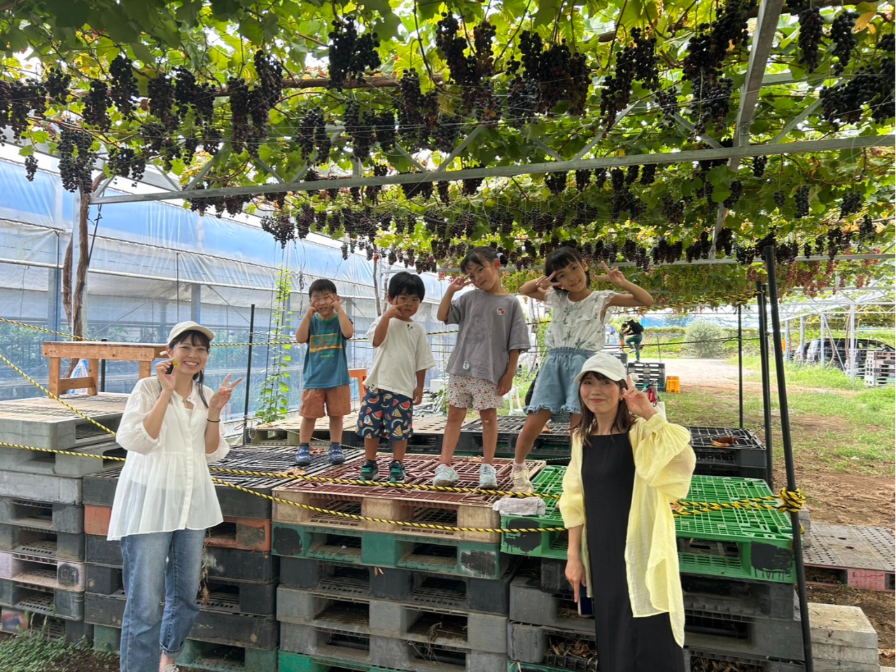 AAԂǂȂǔlߍ񂾊ʋlłB