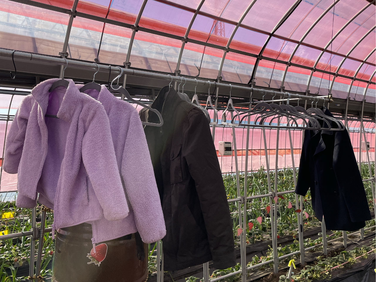 AE^[nK[bNgp\IוptbN̂܂I