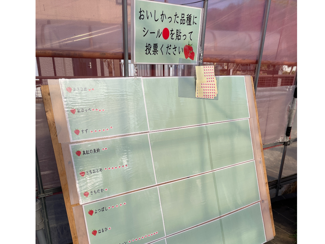 Hה׌͂ЁAiփV[\Ă[ւQI