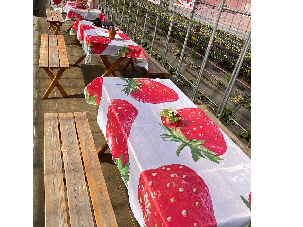 E񂾂e[uł菢オĂ܂I