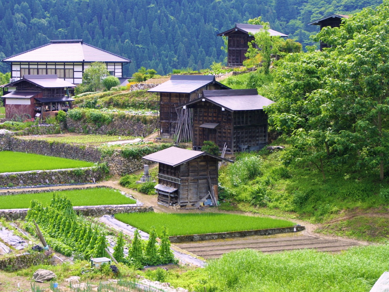 qƐΐς݂̒Ičiρ@푠n