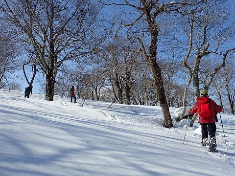 2026/2/15(日)限定開催 スノーシューツアー【飛騨】流葉山樹氷スノーシュ...