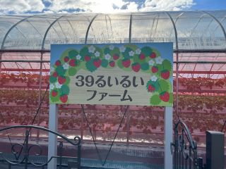 39るいるいファーム