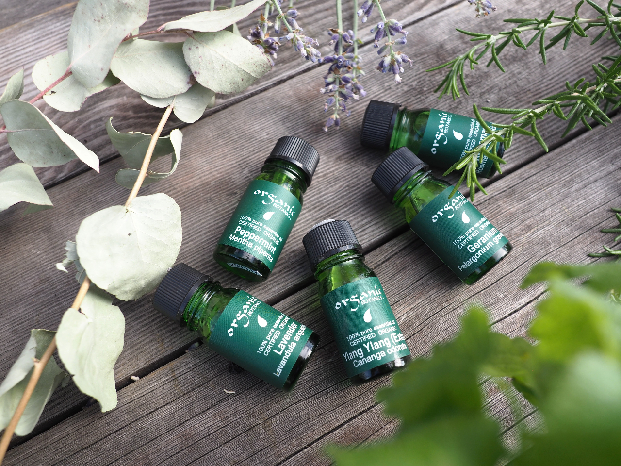 py닦F̃I[KjbNE{^jNXgp܂B