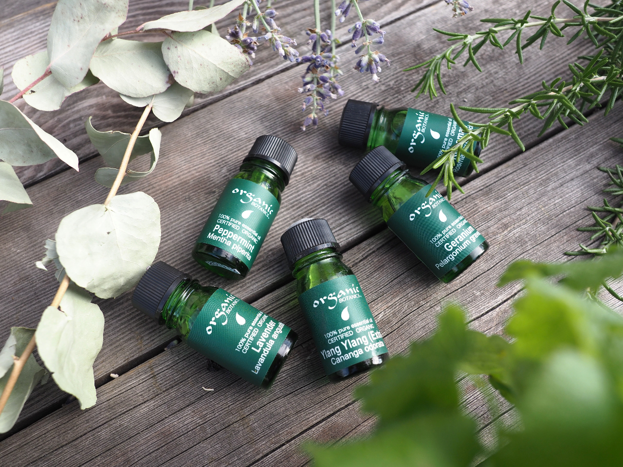 py닦F̃I[KjbNE{^jNXgp܂B