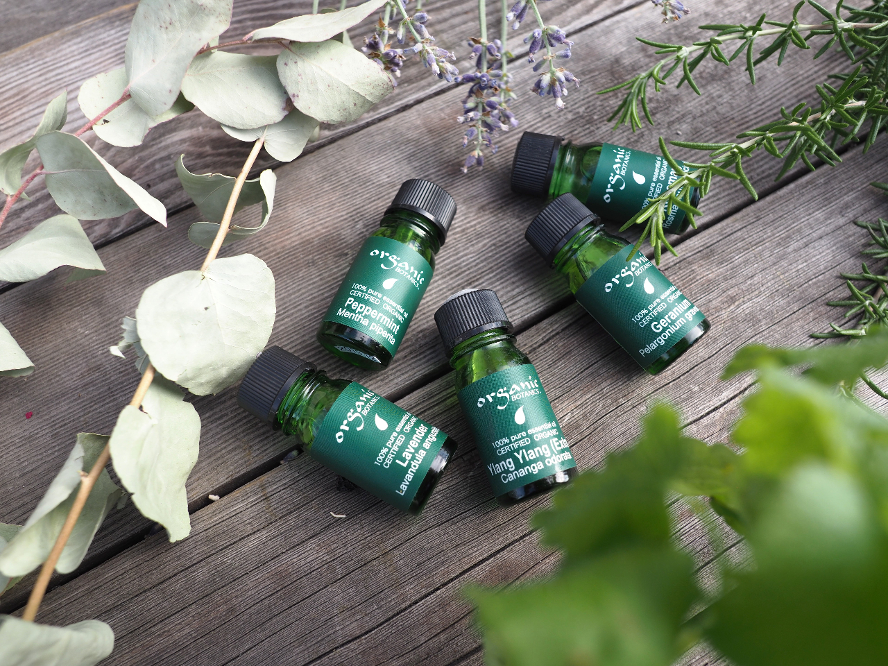 organicBOTANICS̃I[KjbN̒炨D݂̍IтAuh܂B