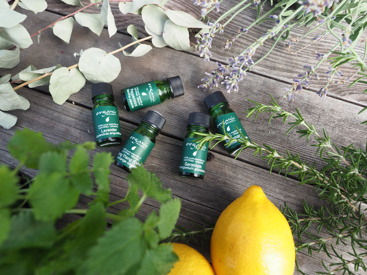 �p���y�닦��F��̃I�[�K�j�b�N�E�{�^�j�N�X�������g�p���܂��B