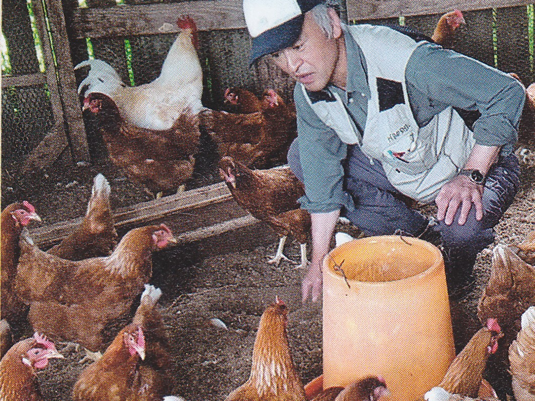 【有精卵の収穫】養鶏歴は40年以上!自由にのびのびと走り回る平飼いの鶏たちの卵を...