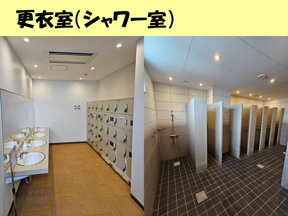 �Y��ȍX�ߎ��Ɖ����V�����[�����I