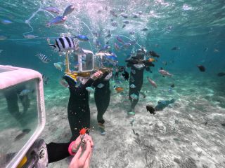 お魚への餌付けもできます♪亜熱帯らしいカラフルなお魚達ばかりです♪