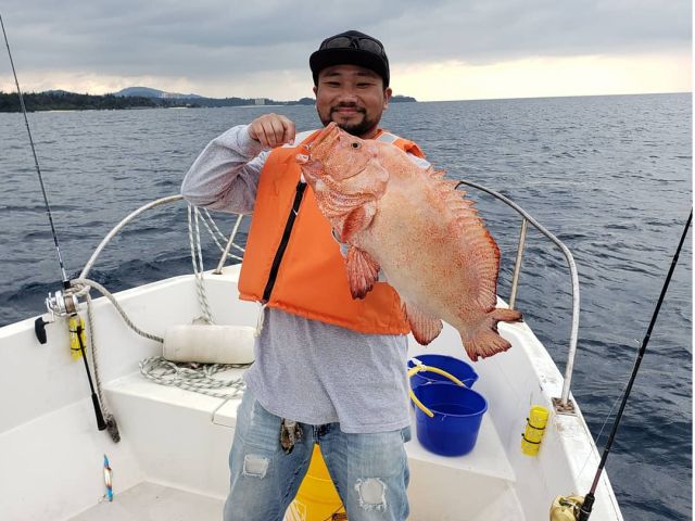 運が良ければ大物に出会えることも