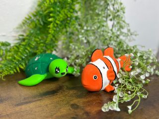 ホヌ、カクレクマノミ