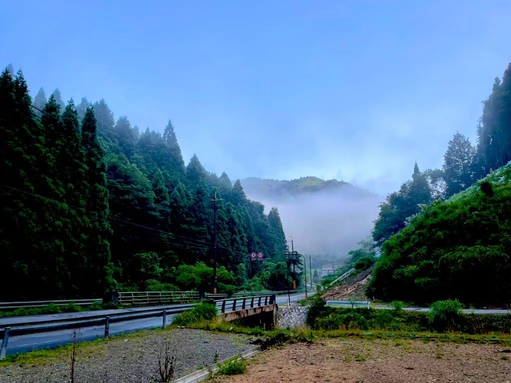 egTEi TCg̒ԏꂩ爻ʂɌ173Bxeꏊ̑匴ŹAʐ^̋nĂẼAXt@g̍⓹オƂB