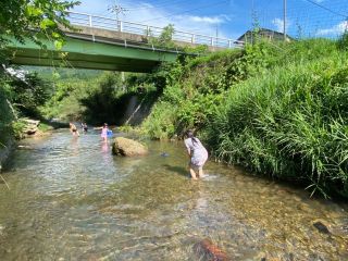 川合小学校本校の下の川遊び。魚がいるよ。カエルがいるよ。みんな生きてるよ。今を精一杯楽しんで生きる子供は尊い。大人も遊ぼう。