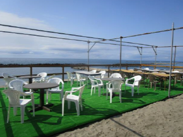 Beach House ���̊ۂ̎ʐ^2