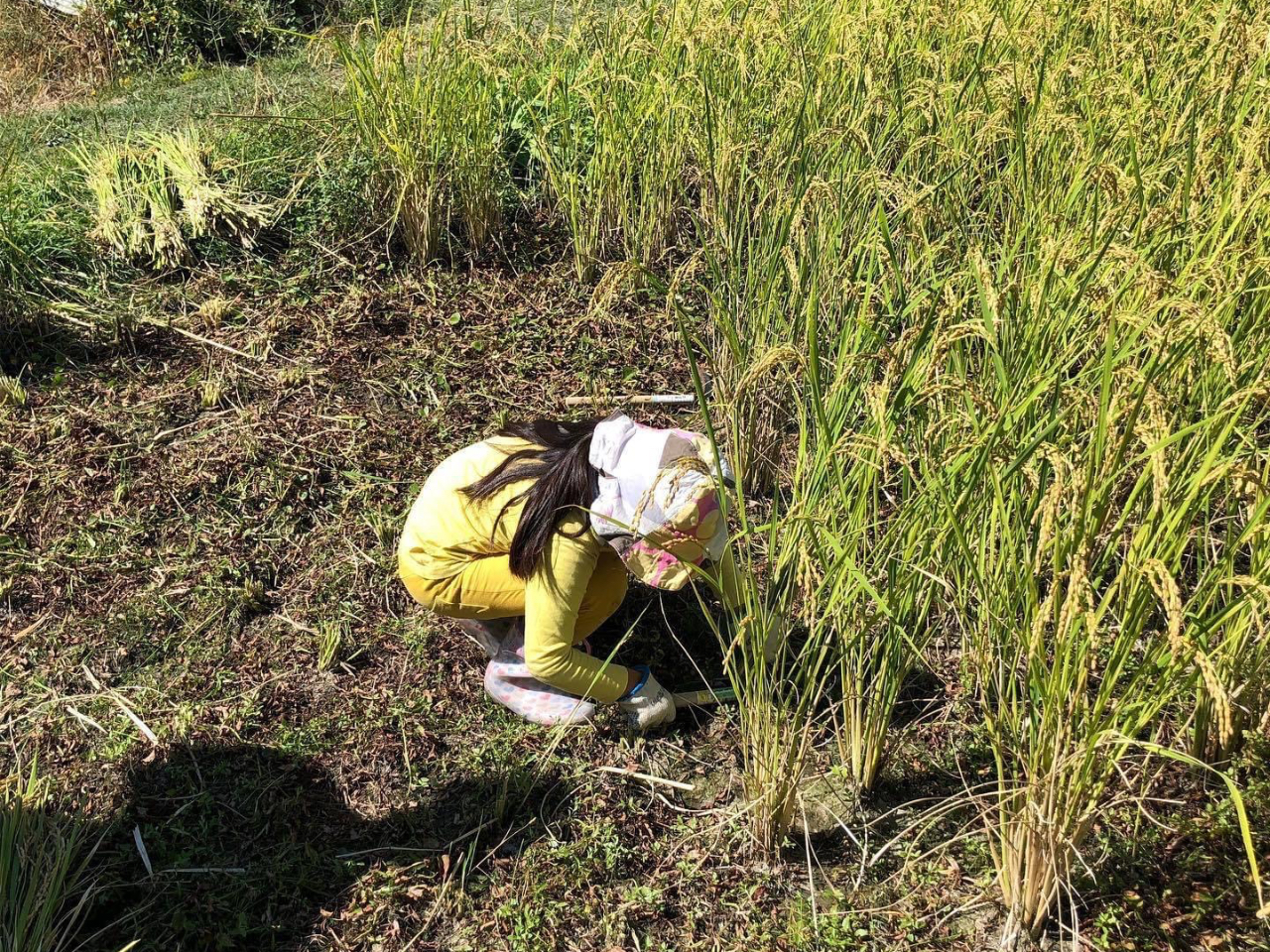 小さいお子さんでもご参加いただけます。(親子での参加をお願いしております)