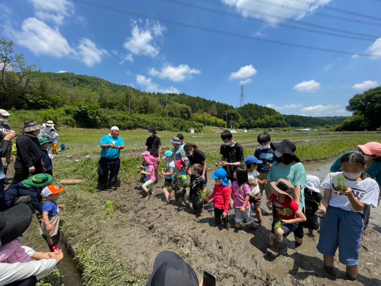 田植え体験の様子。みんなで楽しくドロドロになりましょう!