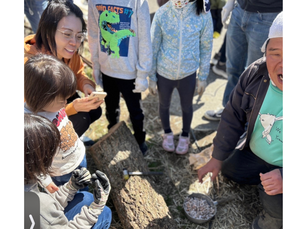 原木椎茸の菌打ち体験の様子です。原木にドリルで穴を開けて、椎茸の菌をハンマーで打ち込みます。