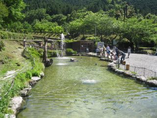 釣り体験をお楽しみください、釣った魚は処理をいたします。