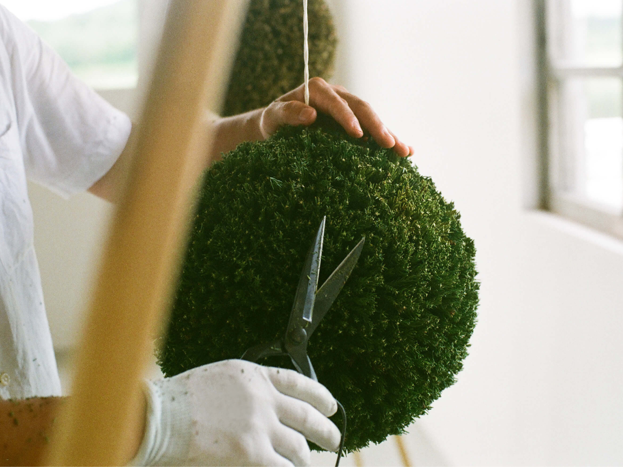 a20`30cm̐ʂ̌łB̗t݊ۂ`𐮂ĂHAĔ_ƂJɎw܂B