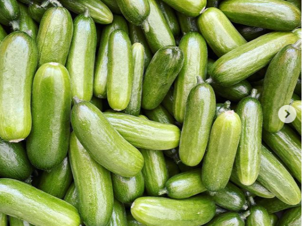 {ɂ邫イ̋Ki͖20cm100g炢ƌ܂Ă܂BCOł30cm邫イʐ^̂悤イ莄͂g݂܂