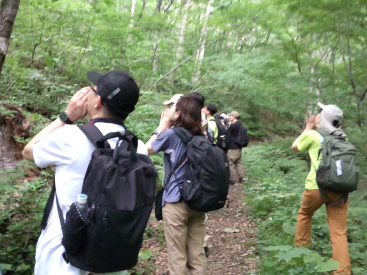 bzIƑ傫ȐoAx̋C𑍓ւI