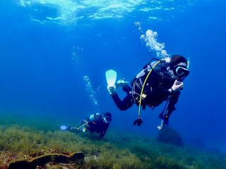 大瀬崎ファンダイビング