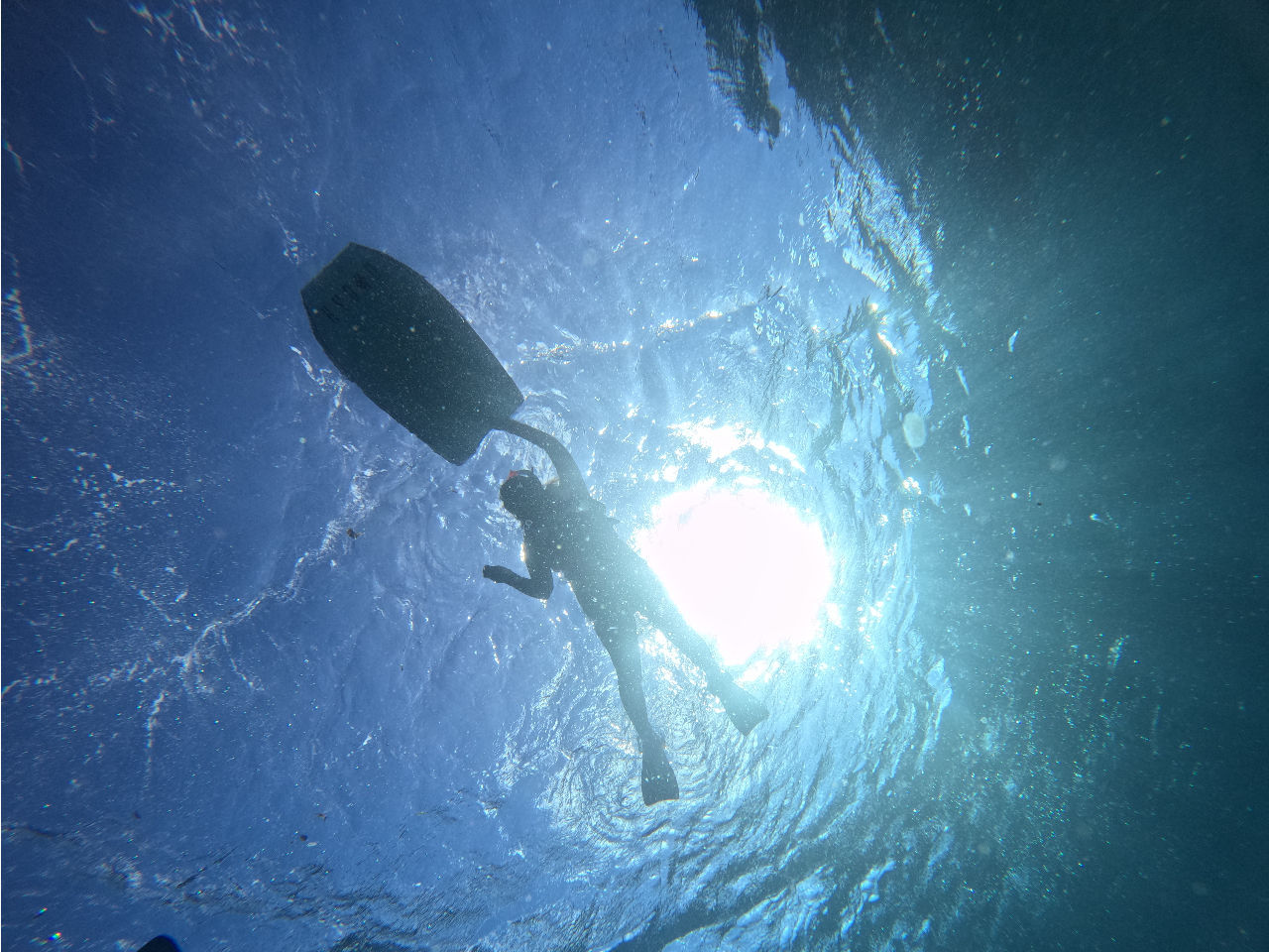 CHILLDIVEでは【ソロ活を楽しむためのプラン】やってます!!