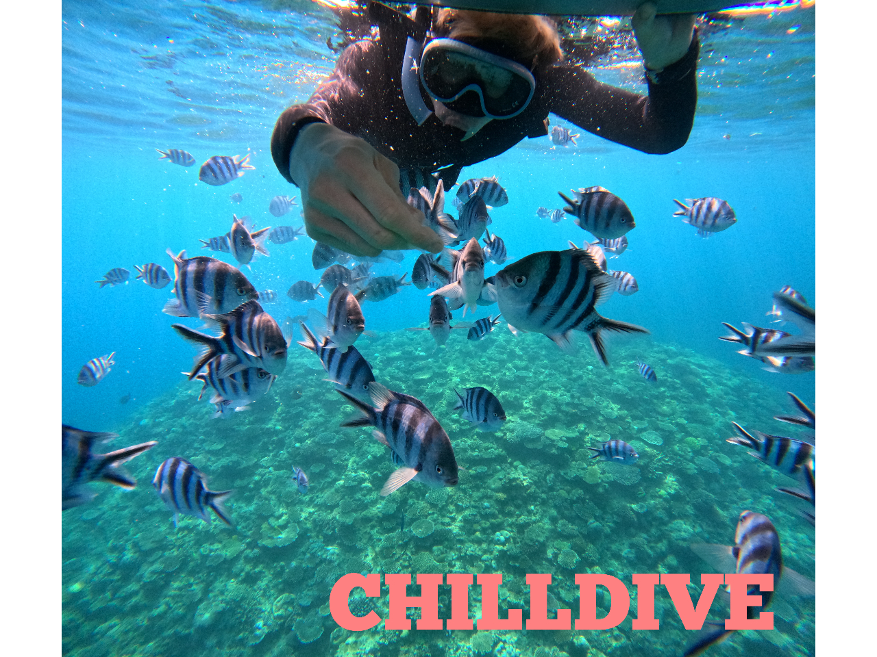 CHILLDIVEでは【ソロ活を楽しむプラン】やってます!!ソロ活応援ショップ☆