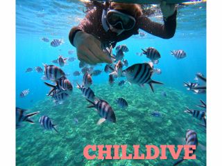 CHILLDIVEでは【ソロ活を楽しむプラン】やってます!!ソロ活応援ショップ☆