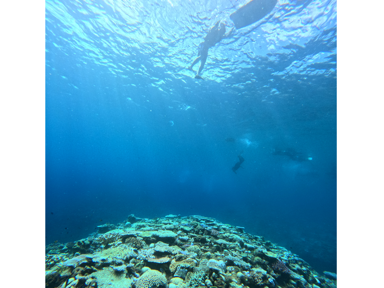 自分だけの時間を楽しむご提案☆【ソロ活プラン】