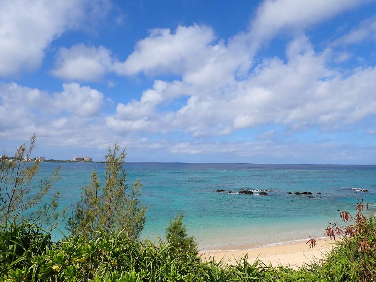 ソロ活ならではの自由な自分だけのCHILLTIMEを満喫♪♪