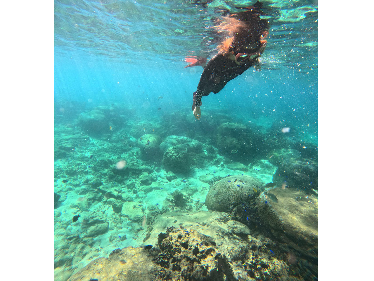 何も考えず、ただただ浮いているだけでリフレッシュ♪♪