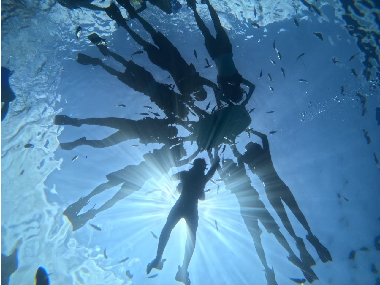 ���z���o�Ă�΁A����Ȏʐ^���I