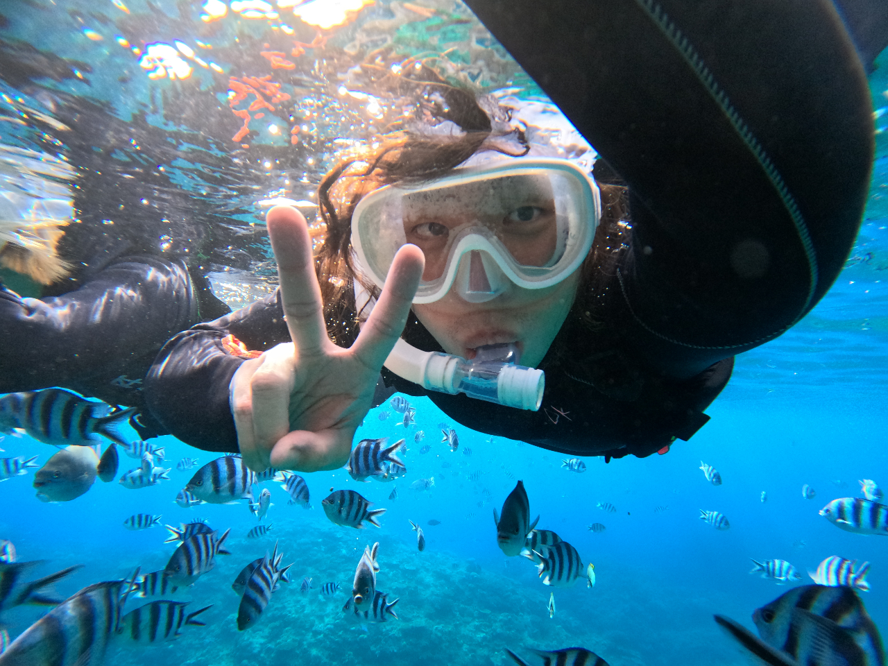 Ȃql̂邲ƑlAppA}}SĂQł܂II